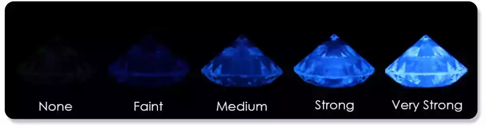 Different-Flurosence-Grades