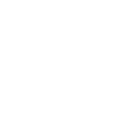 Indian diamond industry