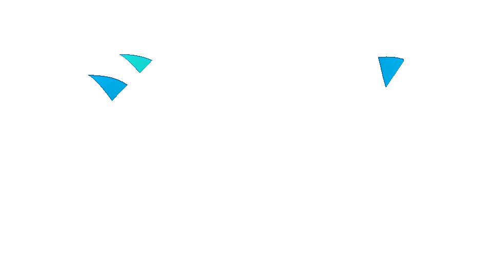 Leader in Diamond Manufacturing